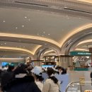 킴스꼬마김밥 | 신세계 강남 두쫀쿠 새들러하우스 대기시간 스위트파크 두바이 투어