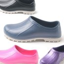 (주)다올 이미지