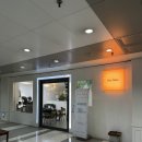 탈랜트미용실 | 처음부터 끝까지 원장님 손끝에서｜정자동 1인 미용실 헤어펠로우 염색 후기