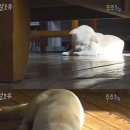 증도초등학교 이미지
