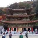 온달 이미지