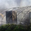 서동농장 이미지