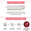 성요셉의원 이미지