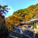 2025 6월 시티투어 이미지