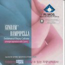 람 커뮤니케이션