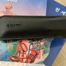 660 | 소니 보이스레코더 ICD-TX660 내돈내산 솔직 후기