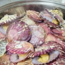 그대 안에그대 | 그대의밥상 홍가리비1kg 솔직후기 가성비 집들이 메뉴 추천