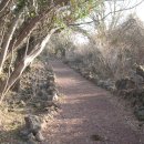 서광동리 이미지