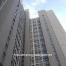 스무숲마트 이미지