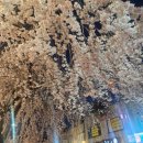 용성 | 수원 통닭거리 수원 용성통닭 본점 단체모임 이용후기