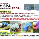 미스터독 힐링＆스파 네이버블로그