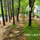 아람길공원 이미지
