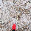 대흥역에서....여의도 한강공원까지^^ 이미지