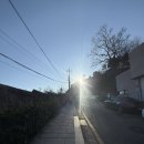 노을책방 | 1월 1일 첫 약속은 인왕산에 독서하러 더숲 초소책방 내돈내산 후기