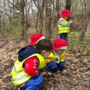 아이슐레어린이집 이미지