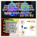 뱃살의 원인 - 습담(濕痰) 이미지