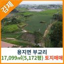 용지면사무소 이미지