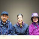 홍천산양산삼