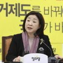 심상정 카카오 검색결과