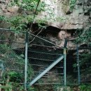 서귀동 천지연 생수궤 이미지