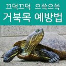 끄떡끄떡 이미지