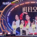 팀에이스 이미지