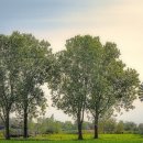 꿈을 심는 회사 이미지