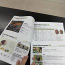 바리스타 | 안양 바리스타 학원 수강 후기