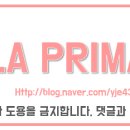 에이치앤에이치 (HNH)