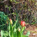 뜨락엔햇살 이미지