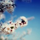 오송칸타빌공인중개사사무소 이미지