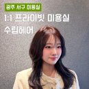 화정역 | 광주 화정역 미용실 프리미엄 클리닉 후기 프라이빗한 수립헤어