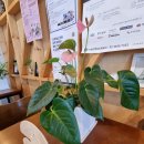 퀸비플래닛