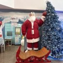 아이스뮤지엄 이미지