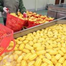 조성원예산지유통센터 이미지