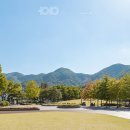 대명자원 이미지