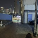 스텔라보떼