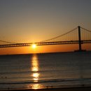 부산갈메기 이미지