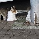 지평선세탁소 이미지