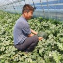 장계농장 이미지