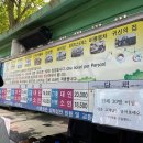 2025 곡성 세계 장미축제 - 5월 국내 여행 추천(위치, 주차, 예매, 공연, 액티비티, 먹거리, 포토존...
