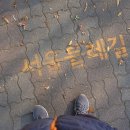 해맞이 동물병원 이미지