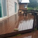 대아초등학교 이미지