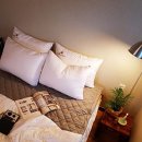 폴리민박 이미지