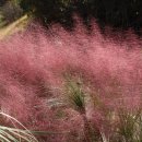 이천농업테마공원 이미지