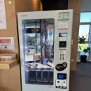 도두봉 실내수영장 | 제주공항 근처 가성비 호텔 추천 도두봉 스테이호텔 숙박 후기 &amp; 도두봉수영장