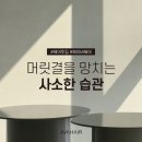 에이바헤어아주대미용실