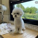 댕그라운드 이미지