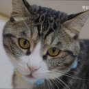 펫필드 동물병원 이미지