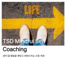 한국마인드풀연구소